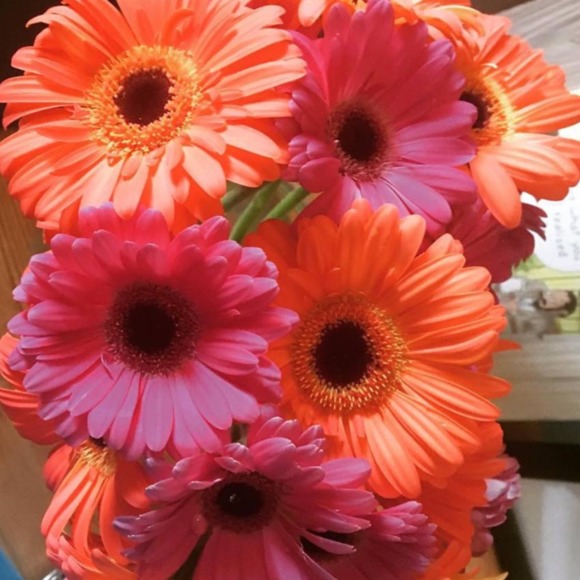 Meet your Posher, Kristin - Picture 1 of 1